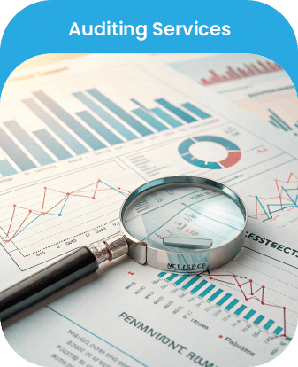 Auditing Services