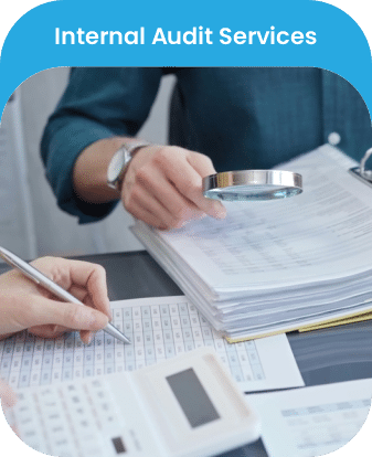 Internal Audit Services